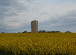 Wachendorf_2_BruderKLaus