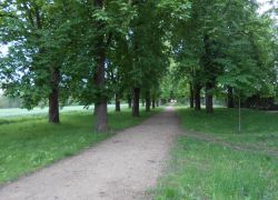 Wachendorf_3_Allee_A
