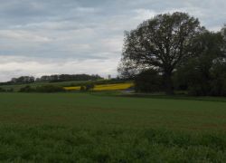 Wachendorf_6_BruKlaus